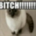 meowz