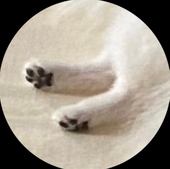 もい