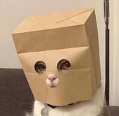 何者