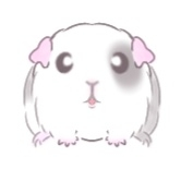 もるもちっと