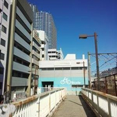 サチ