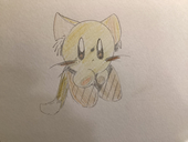 空飛ぶぬこ