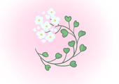 ぺんぺん草