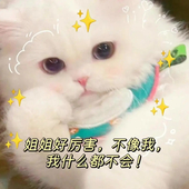 喜欢厚裤袜的KK