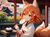 inari