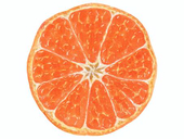 みかんニキ
