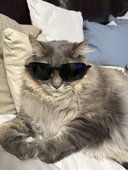 lordwiddershin