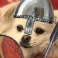 VikingDoggo