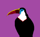 黒飛鳥ゆうすけ