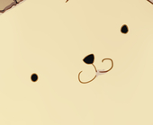 82
