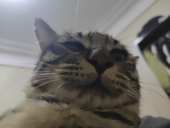离零