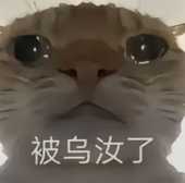 CC睡大觉