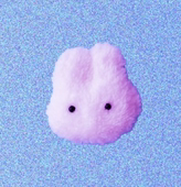 よねただ