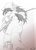 うめちゃづけ