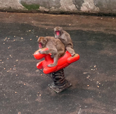 うめあし