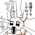甲虫