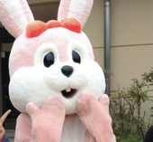 ちば