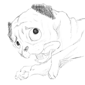 ドミグラス ゆちゃもち