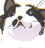 AMO