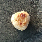 丸丸森森