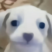 腰射了aaa