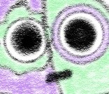 ｱｾﾛﾗちゃん