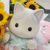 モコチッピピ