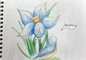 華藍