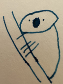 ぽん柚