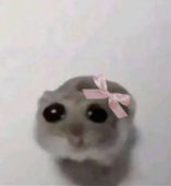大魔法士かがみちゃんさま先生