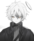 pushucchi24