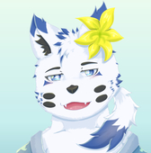 風悠流 リース