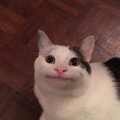るまんど