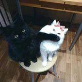 Annaは今夜も眠れない