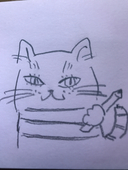 ボーダー猫ジャッキー