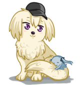 陌千 Mochian