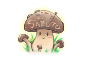Saruto