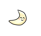 🌝
