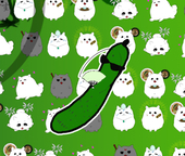 ちっち