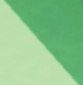 伊豆