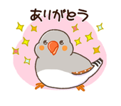 yamadatal