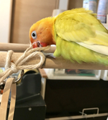 ほうが