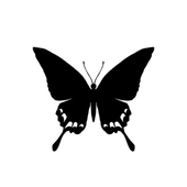 Ray