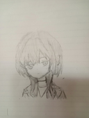 Masashi tracing
