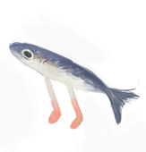 浅麻