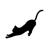 浜仔猫
