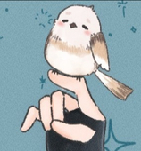 夕夕