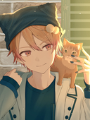 猫柳