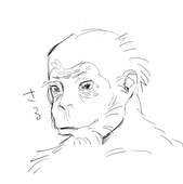 さるやま