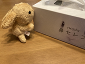ぎー